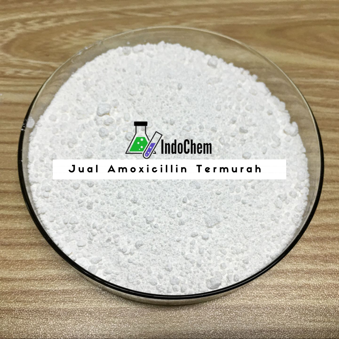 Jual Amoxicillin Termurah