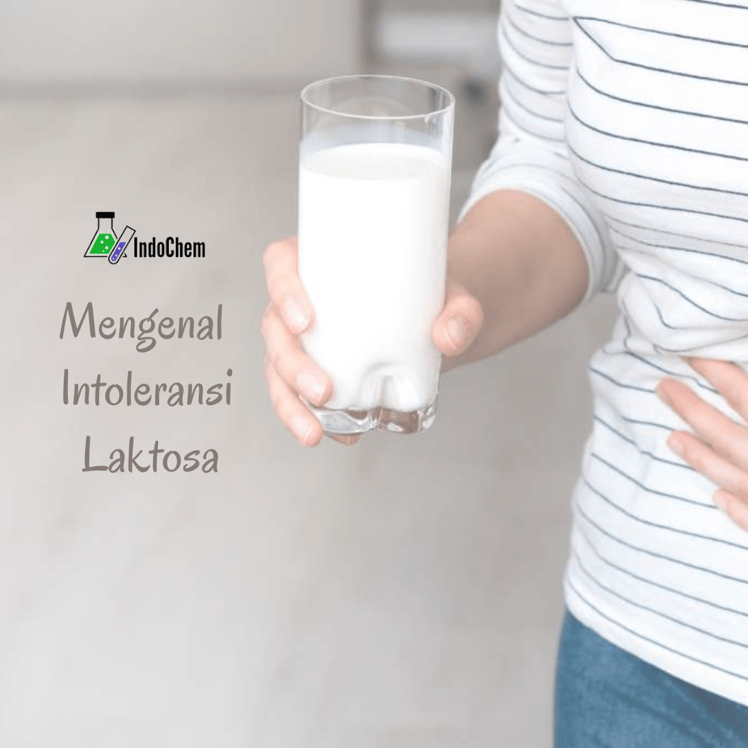 Jual Beli Bahan Kimia – Mengenal Lebih Dekat Intoleransi Laktosa