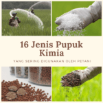 16 Jenis Pupuk Kimia yang Sering Digunakan oleh Petani