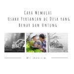 Cara Memulai Usaha Pertanian di Desa yang Benar dan Untung
